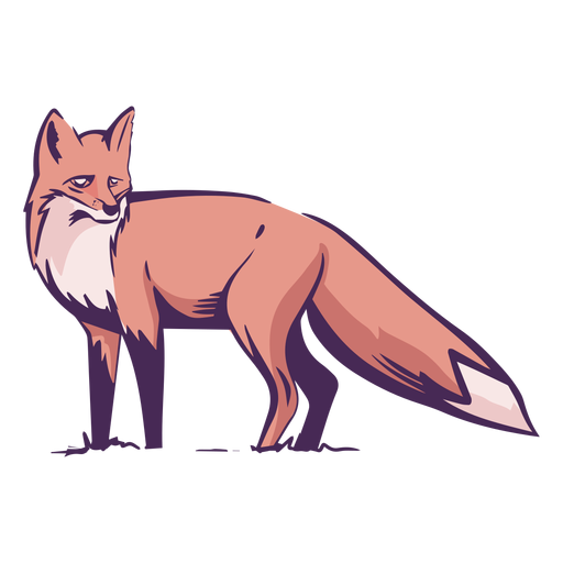 Red Fox Transparent PNG