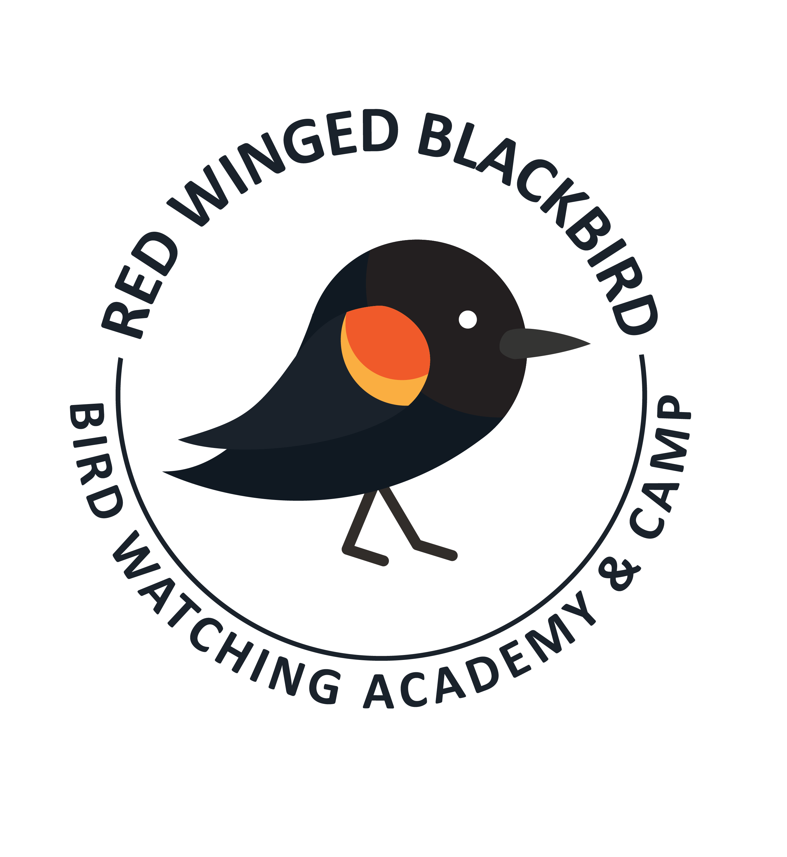Red-Winged Blackbird No Background
