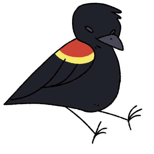 Red-Winged Blackbird PNG Photo Image