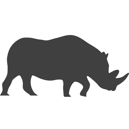 Rhinoceros No Background