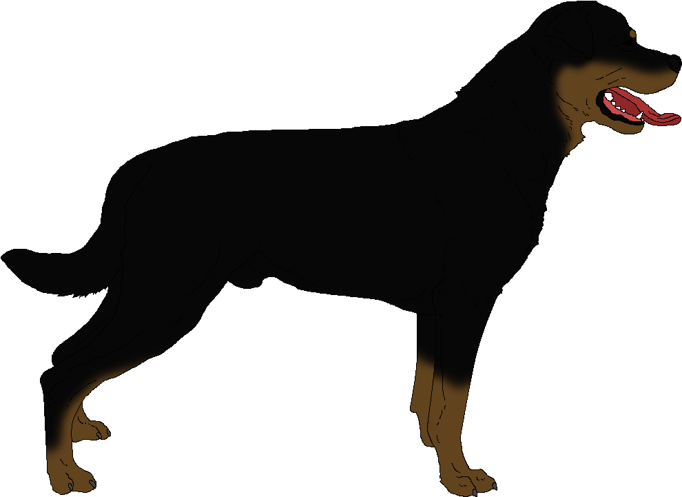 Rottweiler Background PNG Image