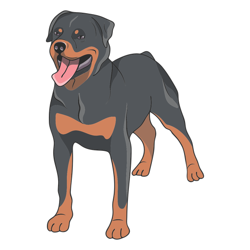 Rottweiler PNG Free File Download