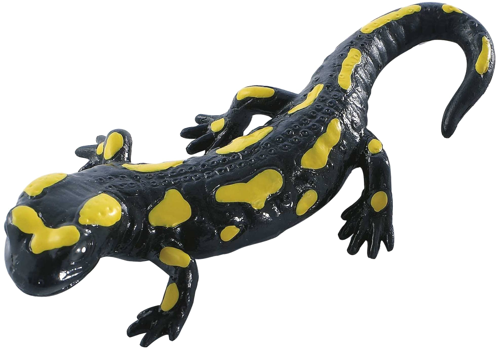 Salamanders Background PNG Image