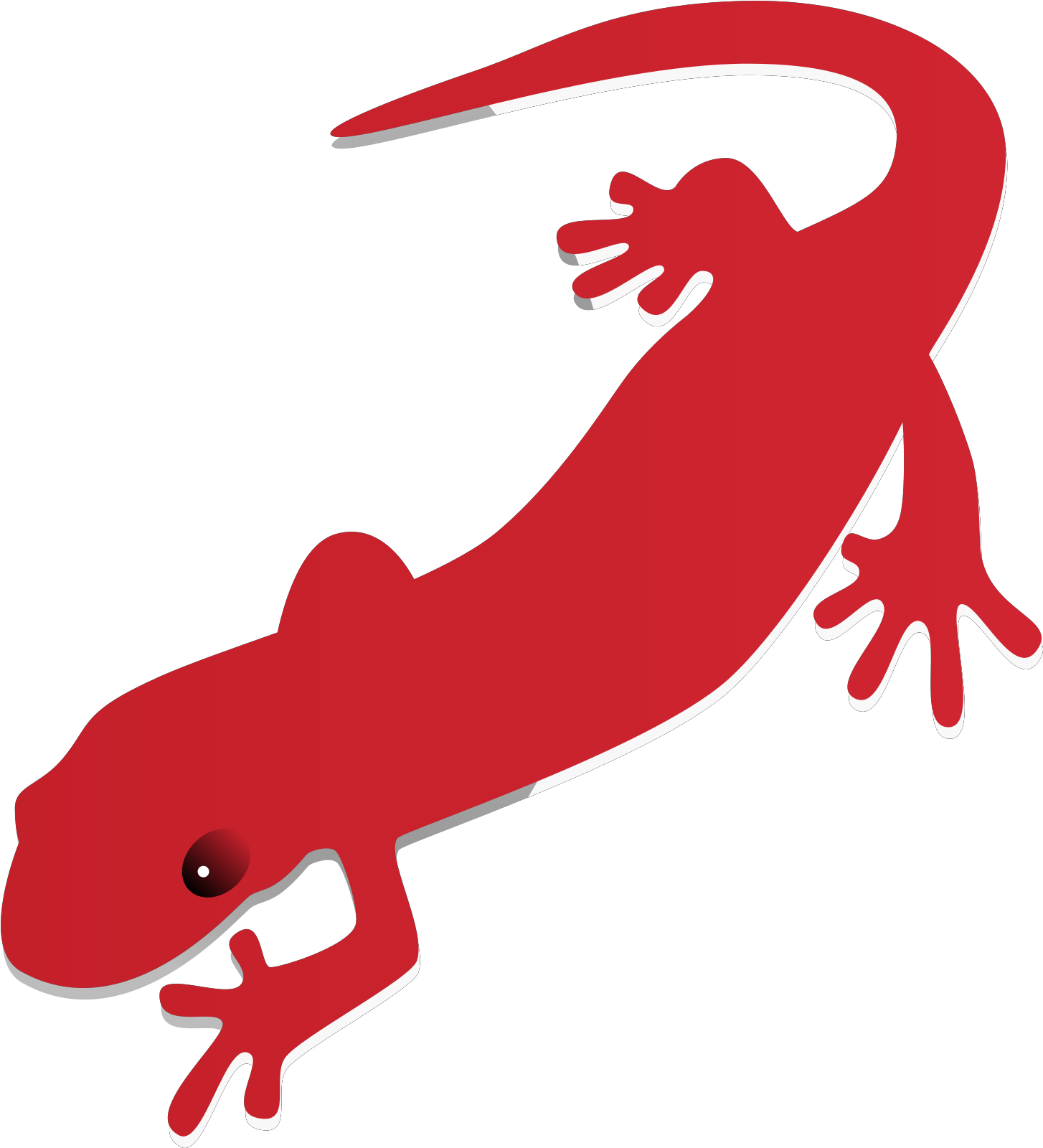 Salamanders PNG Free File Download