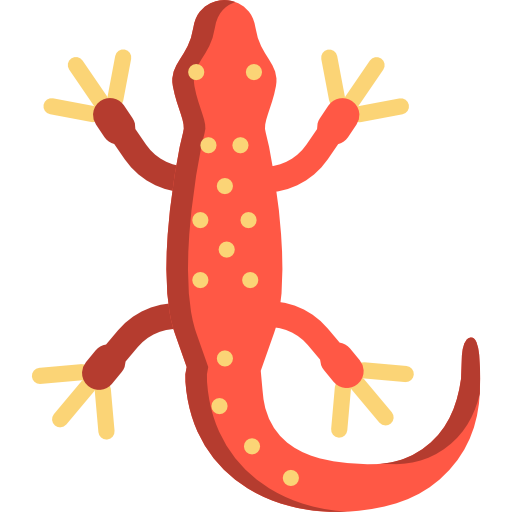 Salamanders PNG Photos