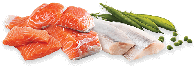 Salmon Fish PNG HD Quality