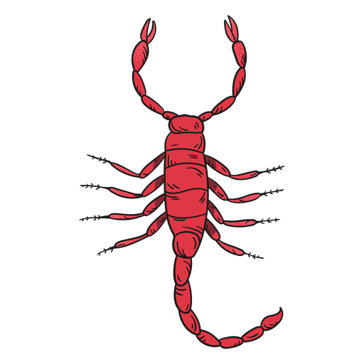 Scorpion Arachnids Download Free PNG