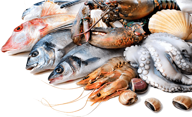 Seafood Download Free PNG