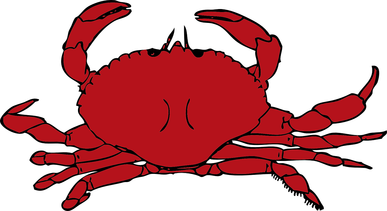 Seafood PNG Background