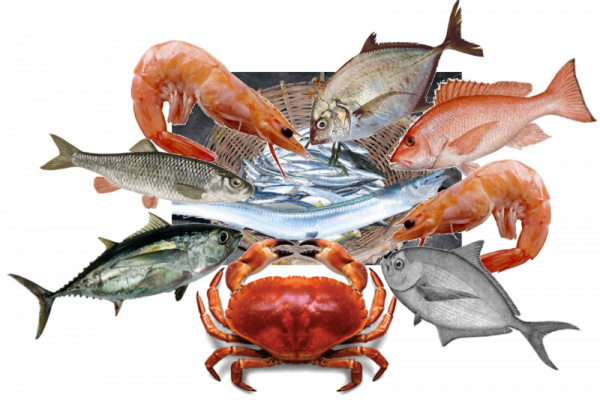 Seafood PNG Pic Background