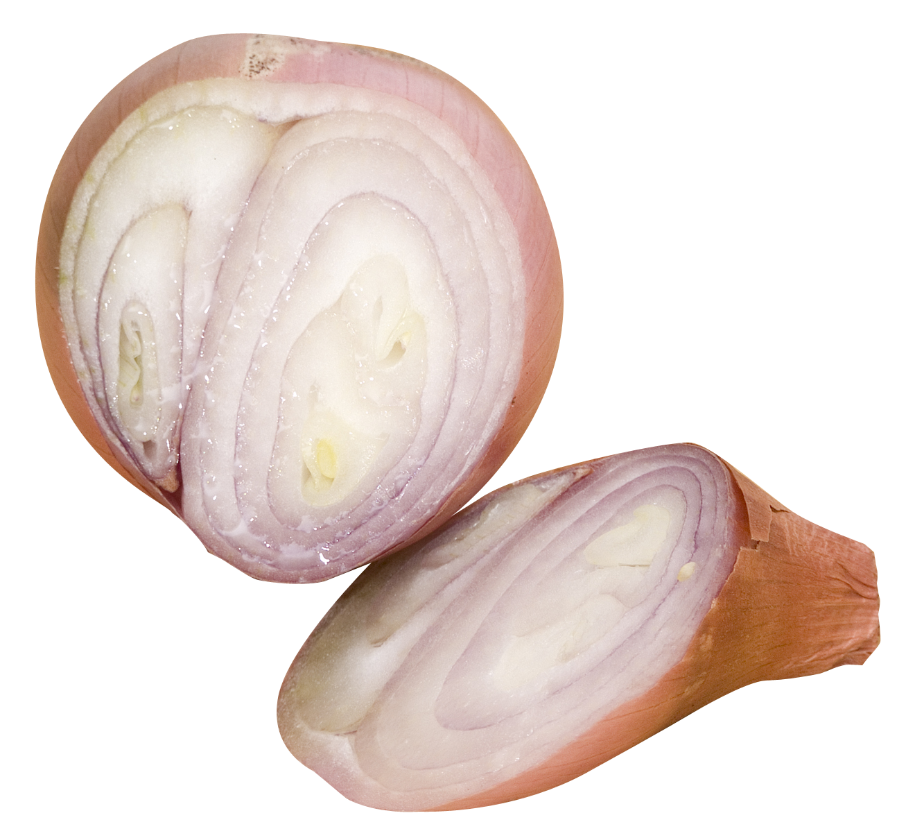 Shallot Free Picture PNG