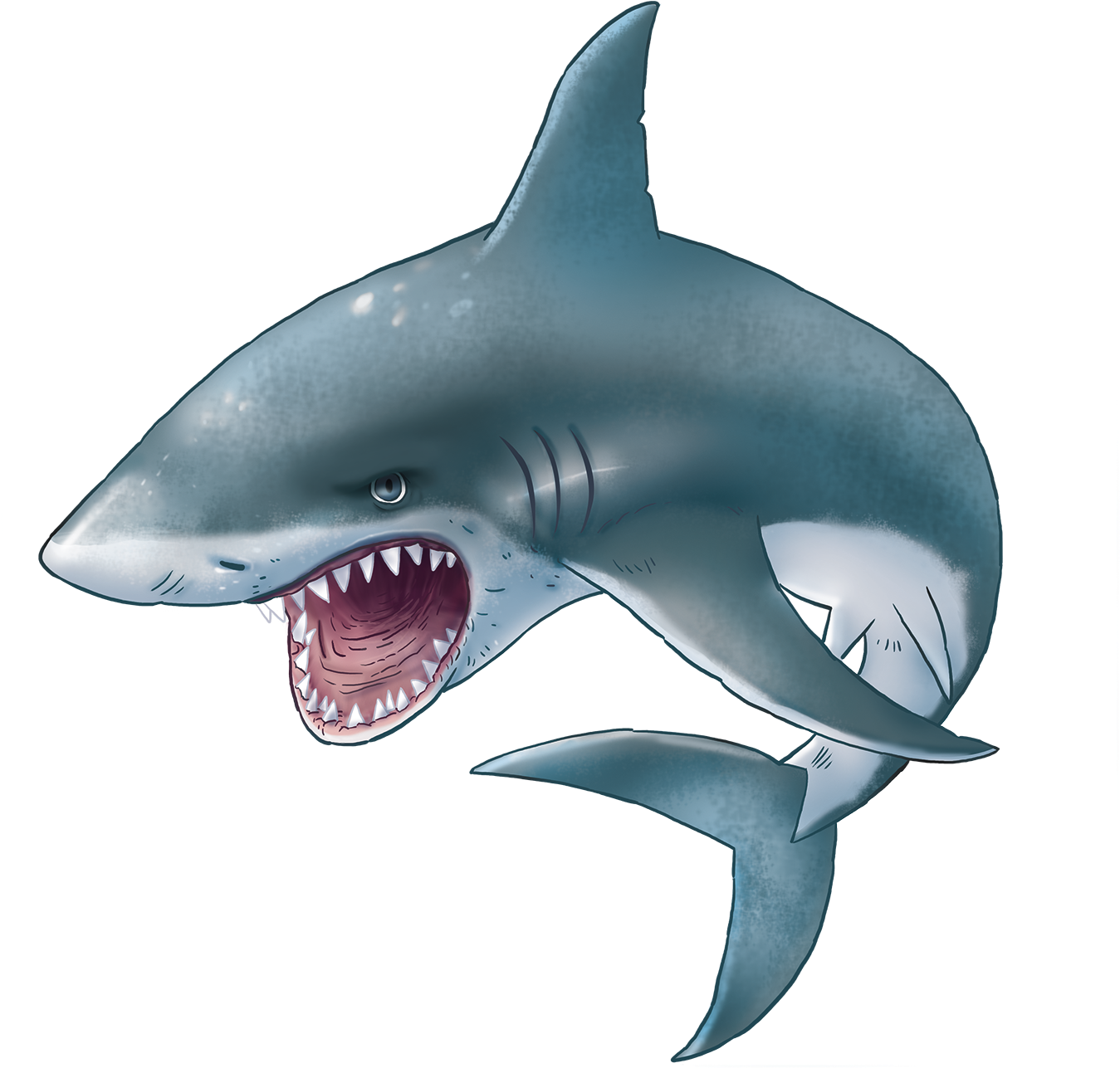 Shark Background PNG Image