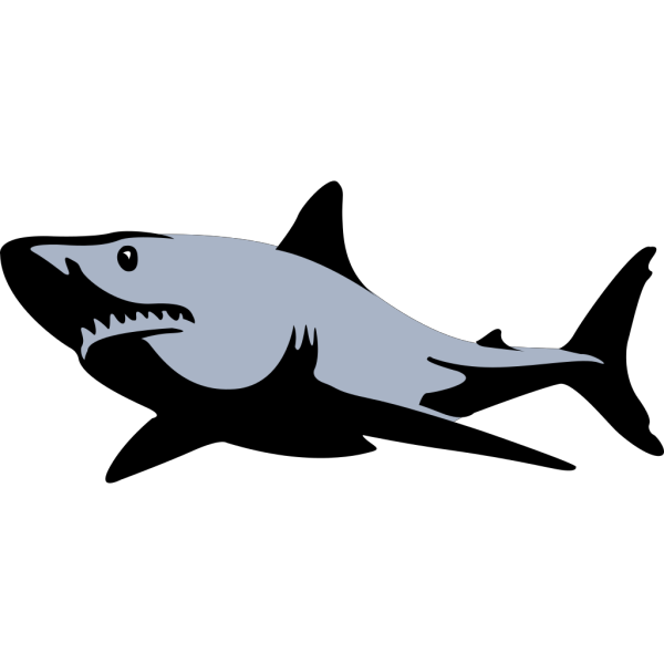 Shark Transparent Free PNG