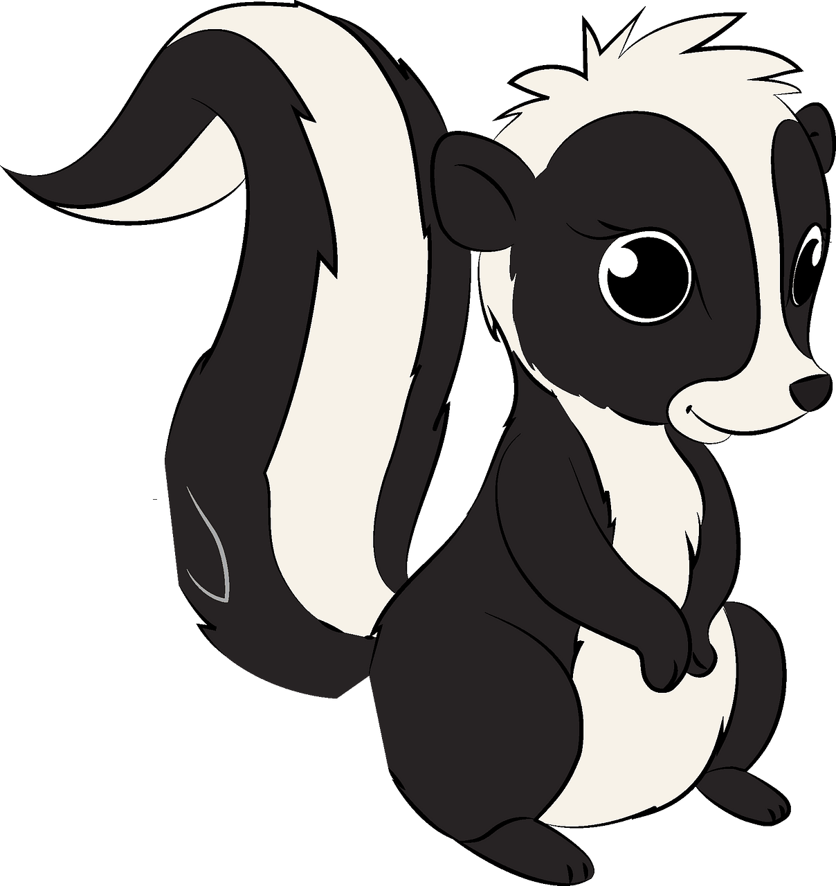 Skunks PNG Photos