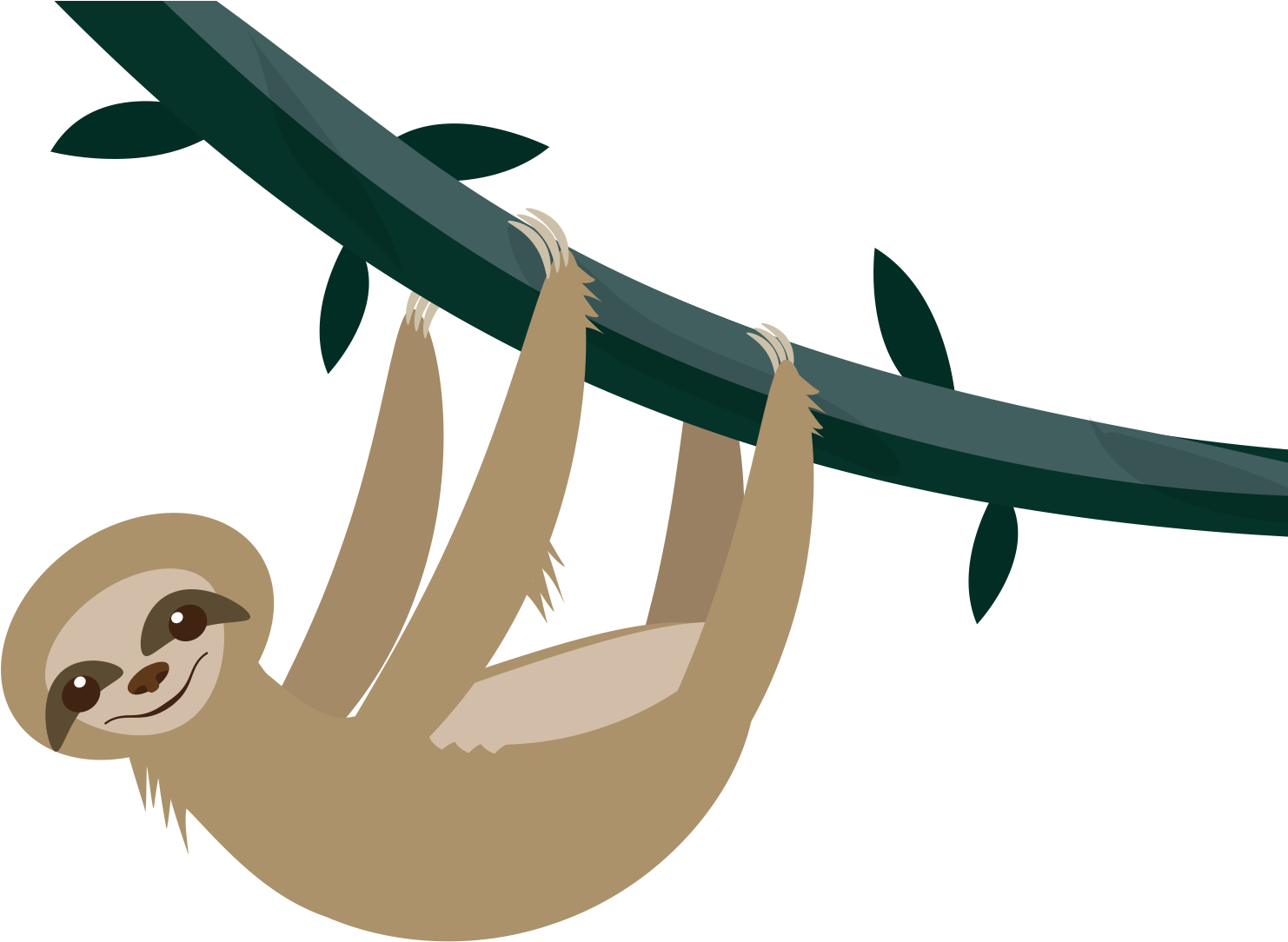 Sloth Background PNG Image