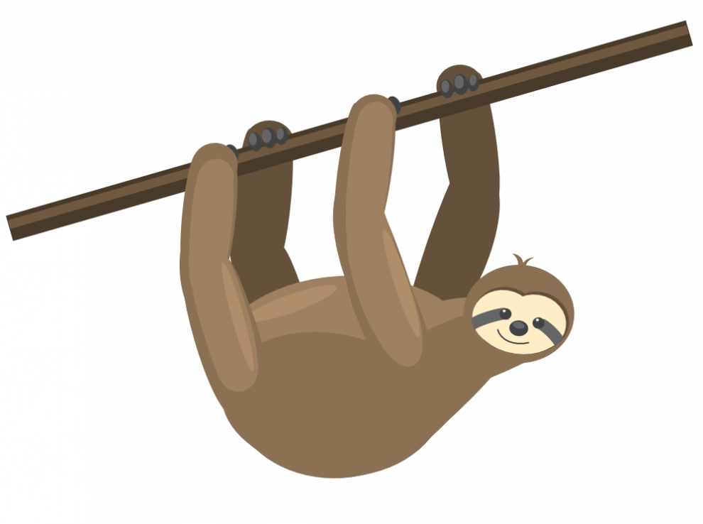 Sloth Bear PNG HD Quality