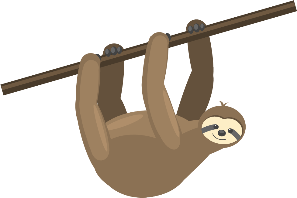 Sloth PNG Background