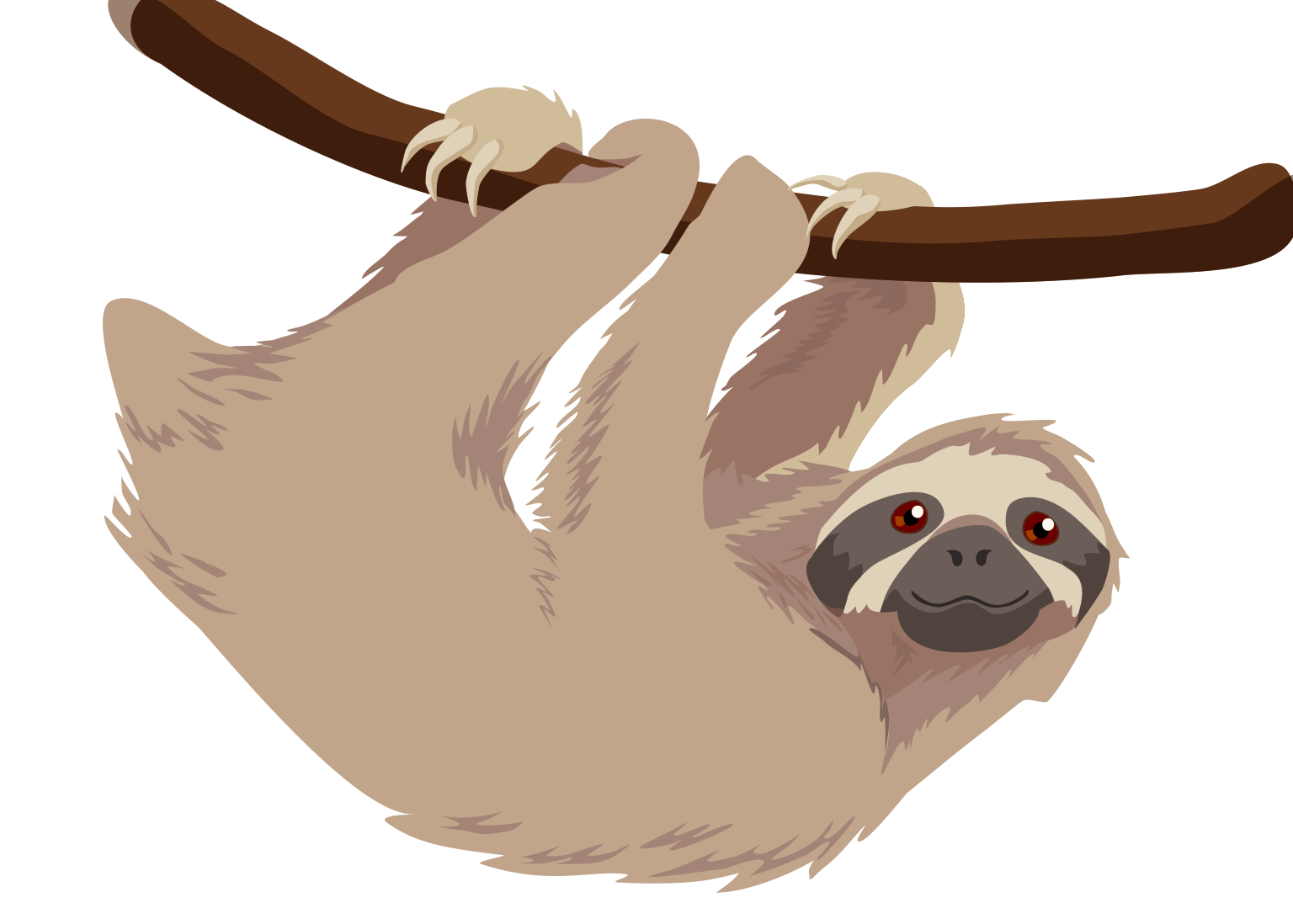 Sloth PNG HD Quality