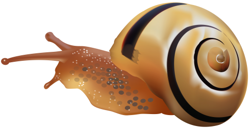 Snails PNG Clipart Background