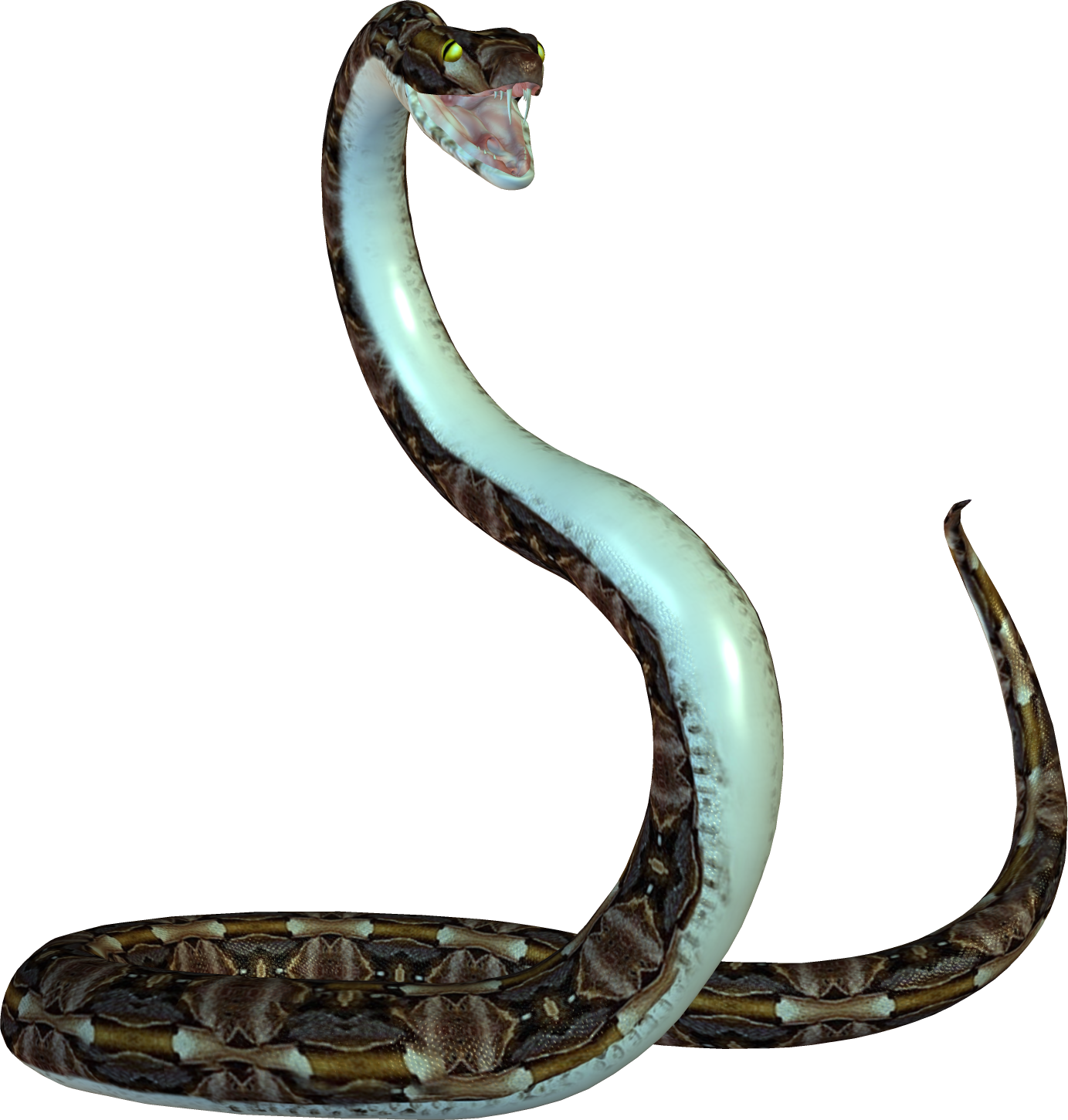 Fondo de la serpiente PNG