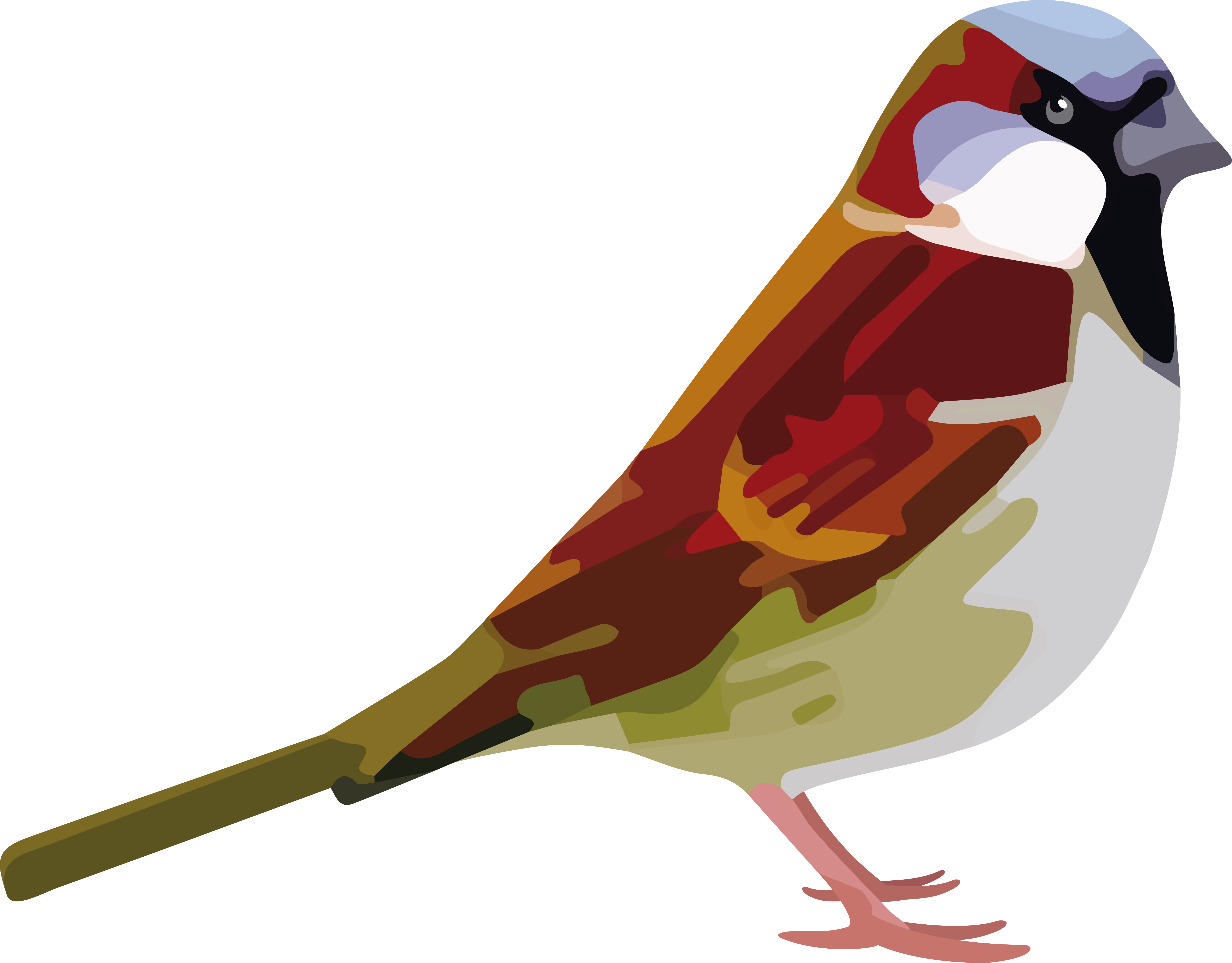 Sparrow Download Free PNG