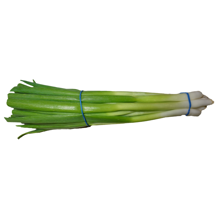 Spring Onions Free PNG