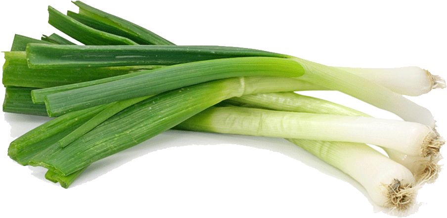 Spring Onions PNG Clipart Background