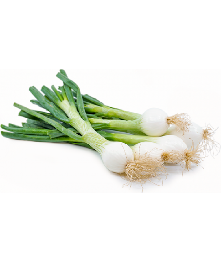 Spring Onions PNG Images HD