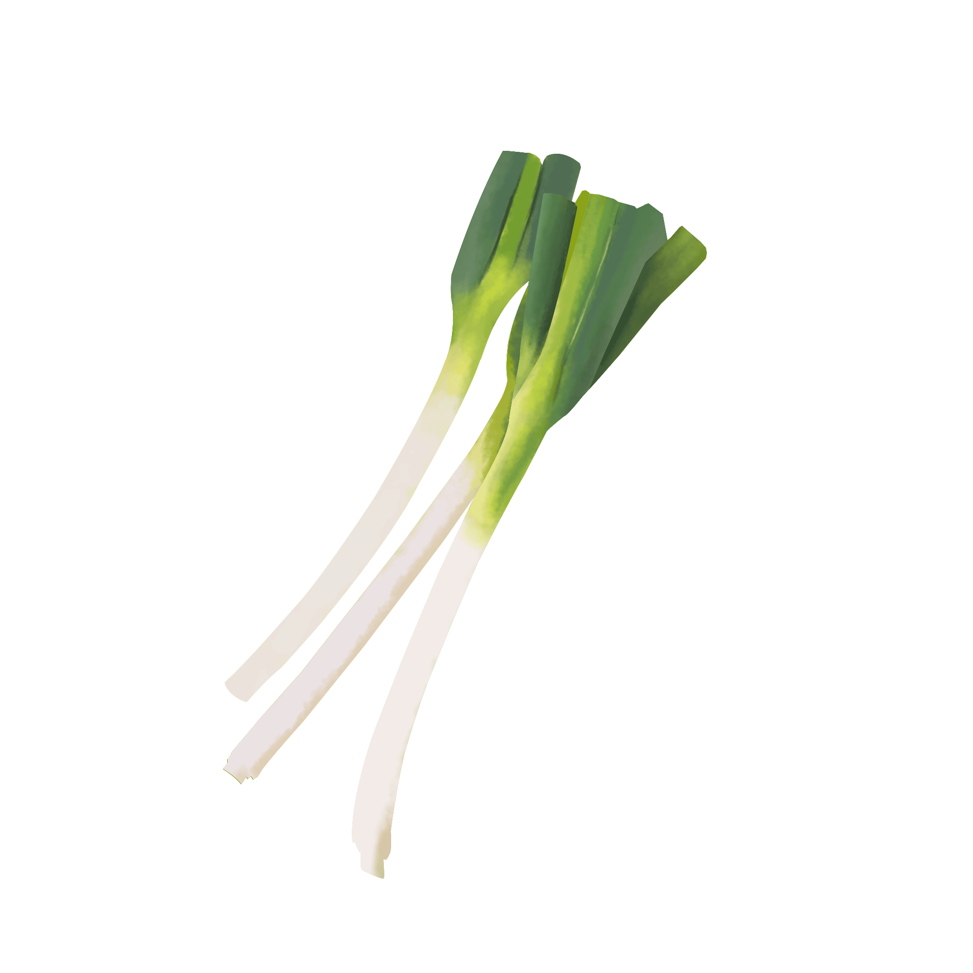 Spring Onions Transparent Background