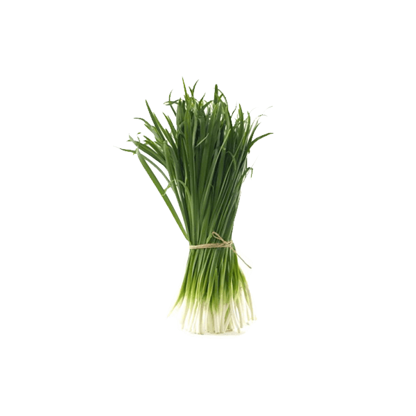 Spring Onions Transparent Image