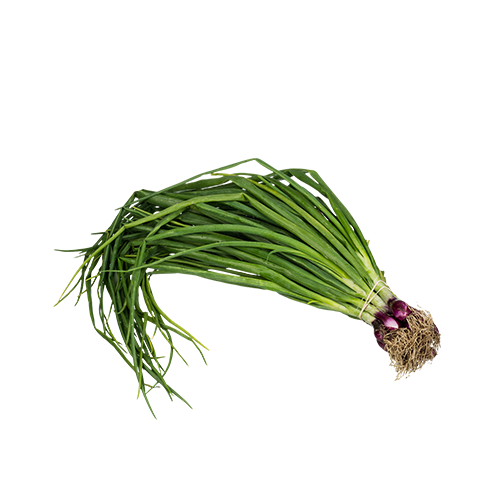 Spring Onions Transparent Images