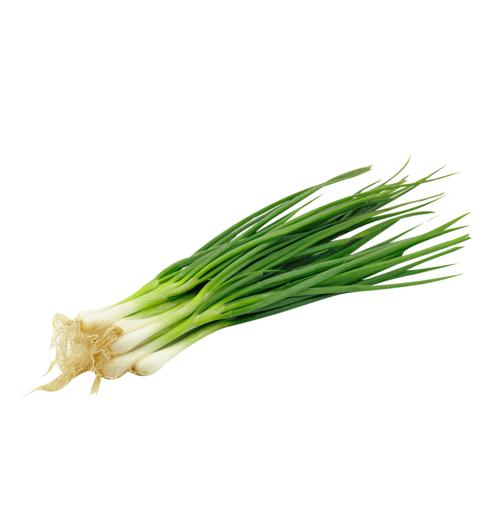 Spring Onions Transparent PNG