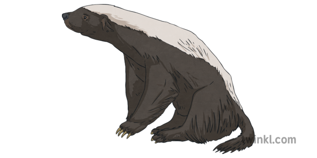 Stink Badgers PNG Clipart Background