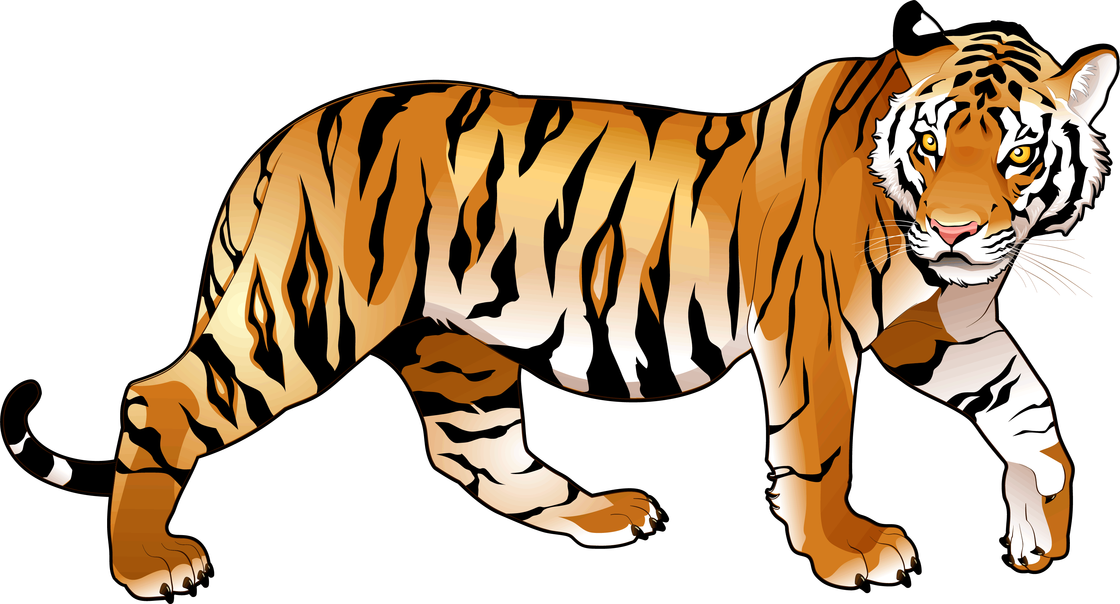 Tiger Free PNG