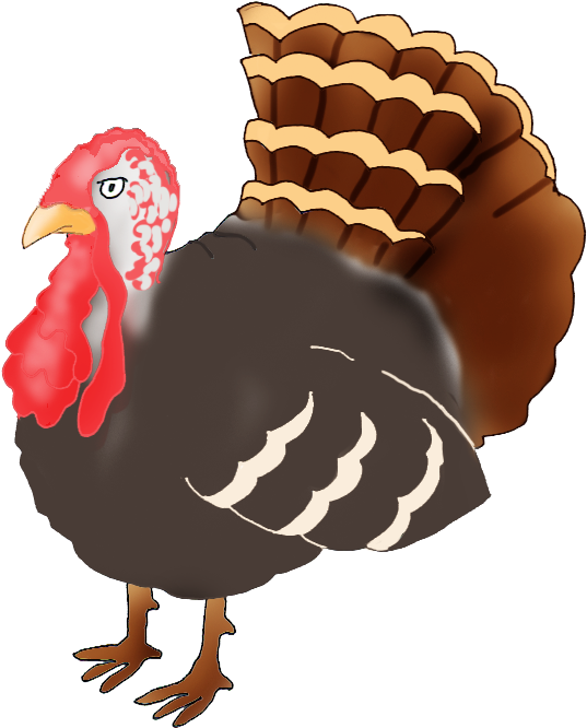 Turkeys Background PNG Image