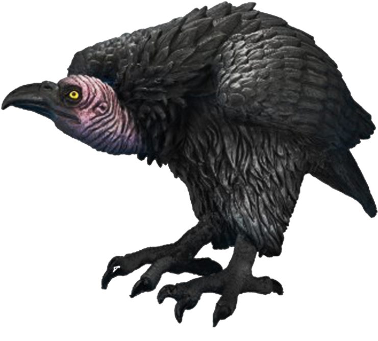 Vulture Download Free PNG