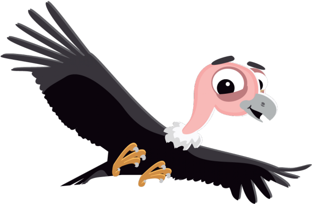 Vulture Free PNG