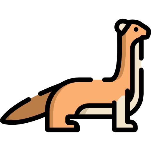 Weasels Download Free PNG