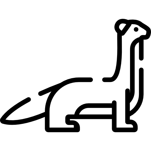 Weasels Transparent Free PNG