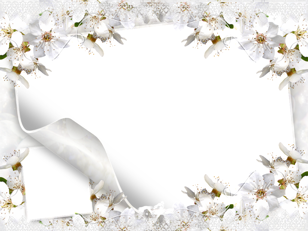 Wedding Frame Background PNG Image