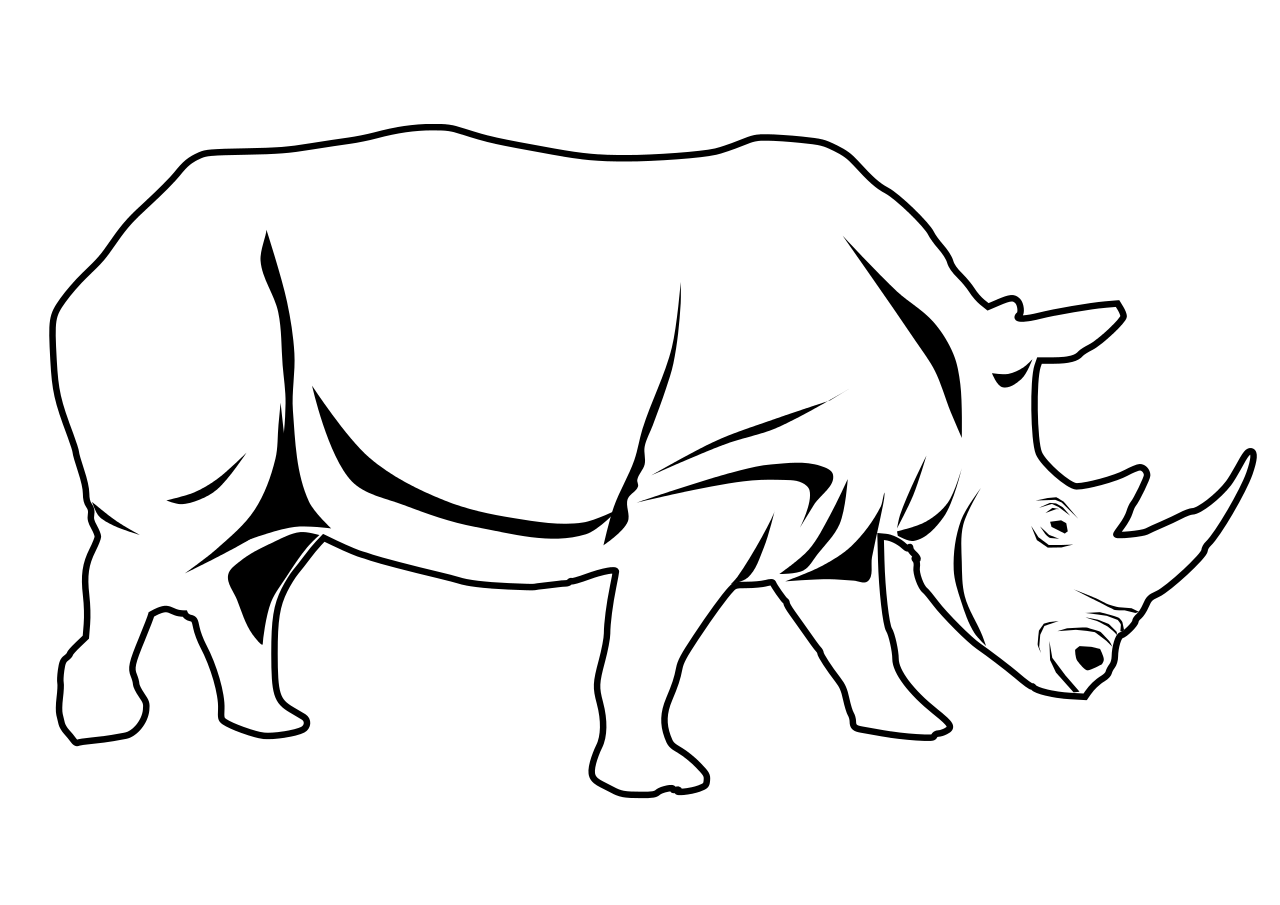 White Rhinoceros PNG Clipart Background