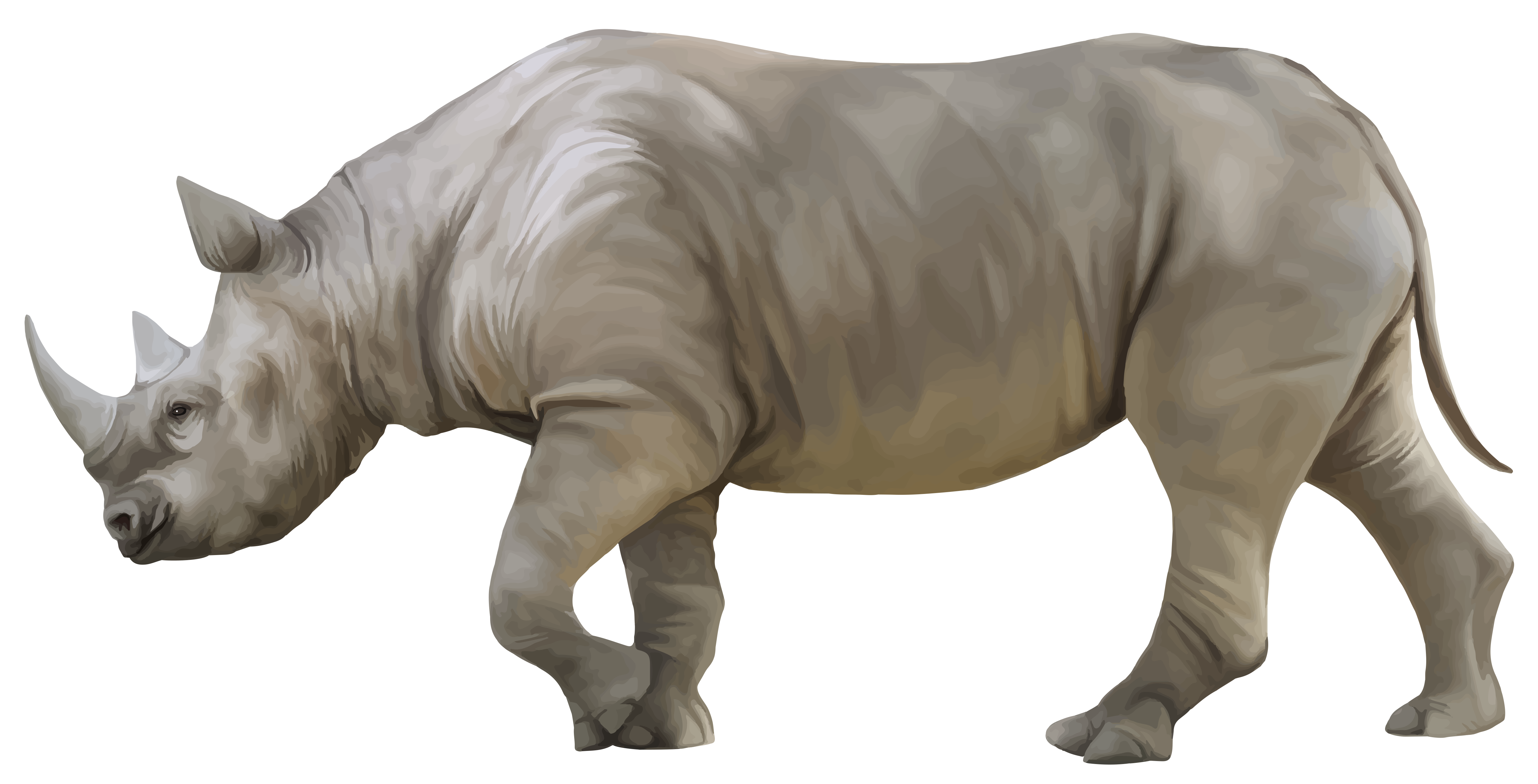 White Rhinoceros Transparent Background