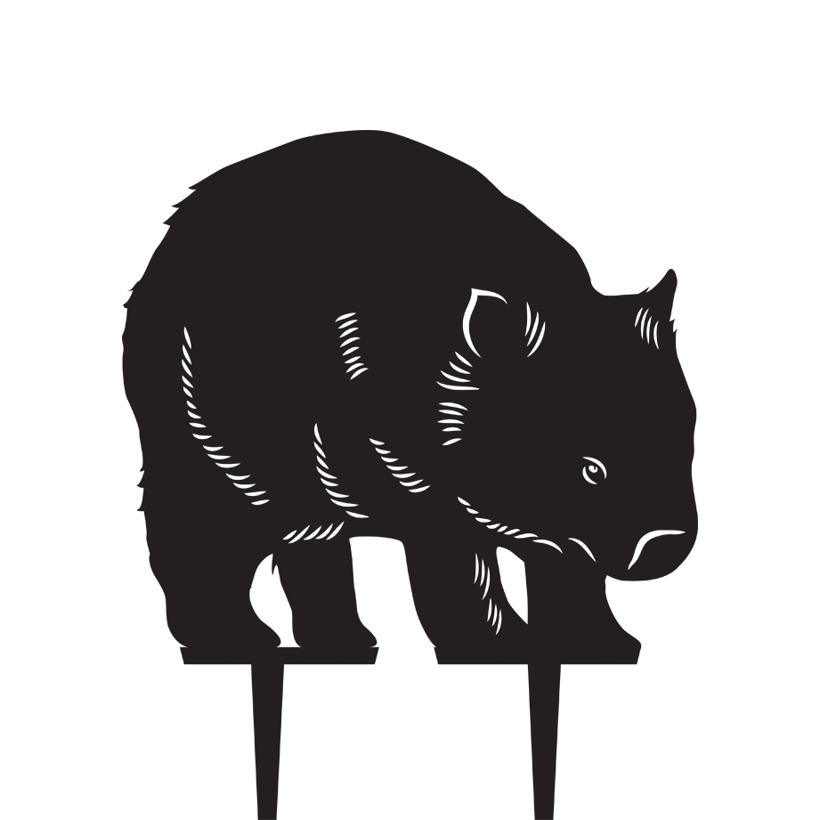 Wombats PNG Clipart Background