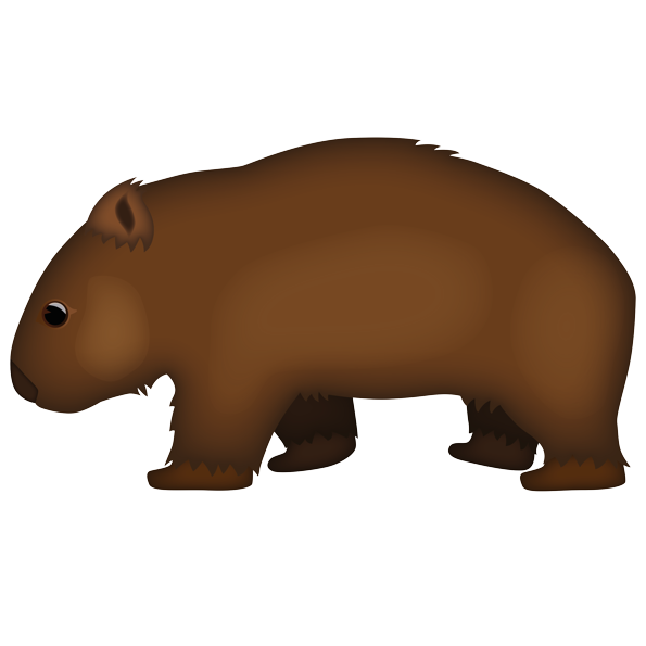 Wombats PNG Images HD