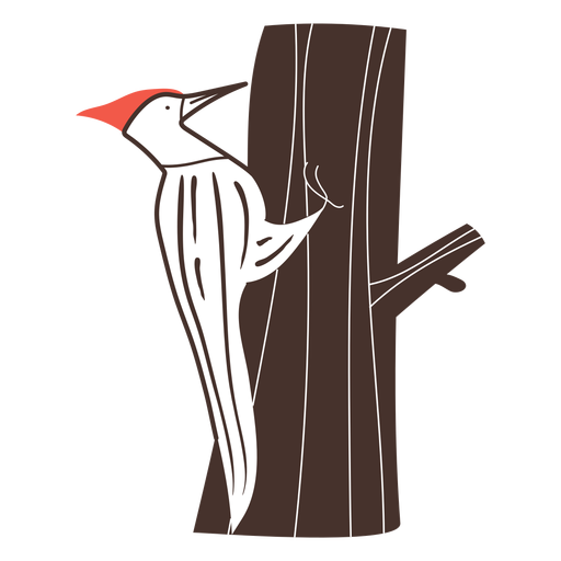 Woodpecker No Background