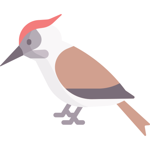 Woodpecker Transparent Image