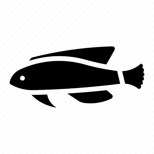 Zebra Fish Background PNG Image