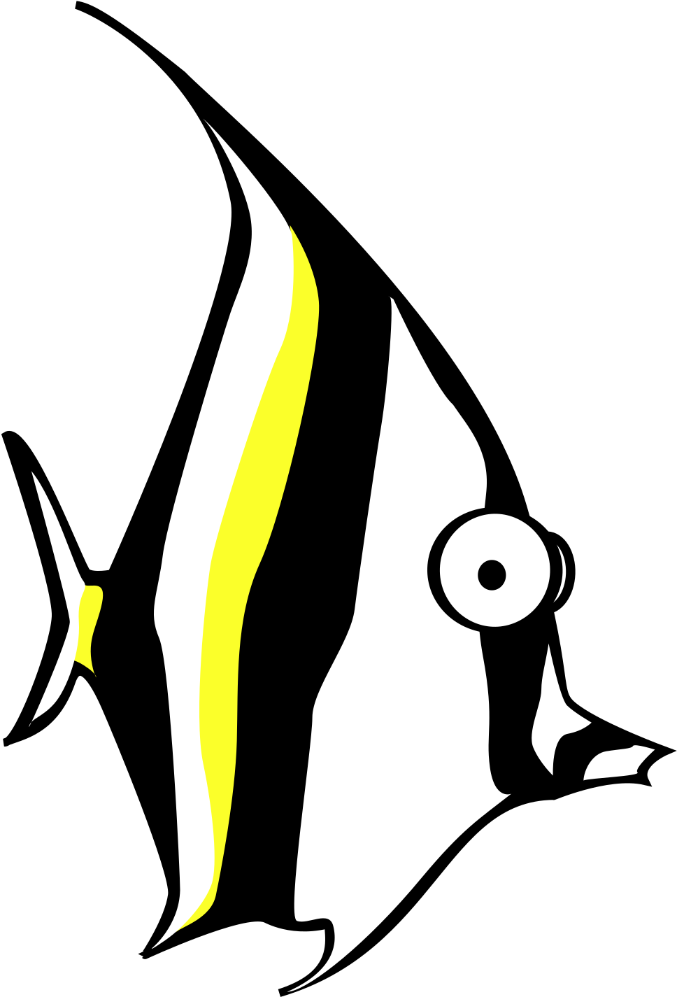 Zebra Fish PNG HD Quality