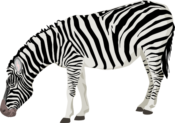 Zebras Background PNG Image