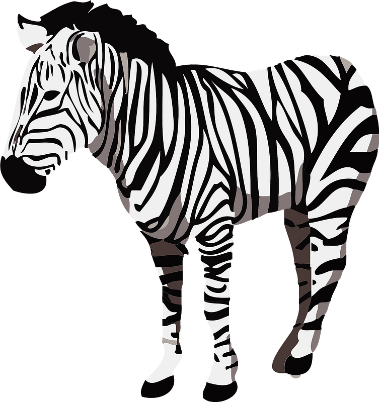 Zebras PNG Pic Background